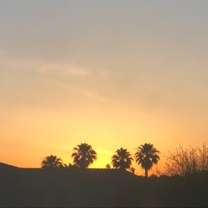 Meet your Posher, Jneya